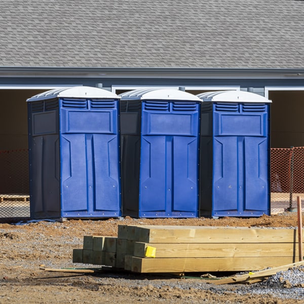 are there any restrictions on what items can be disposed of in the porta potties in Cold Spring